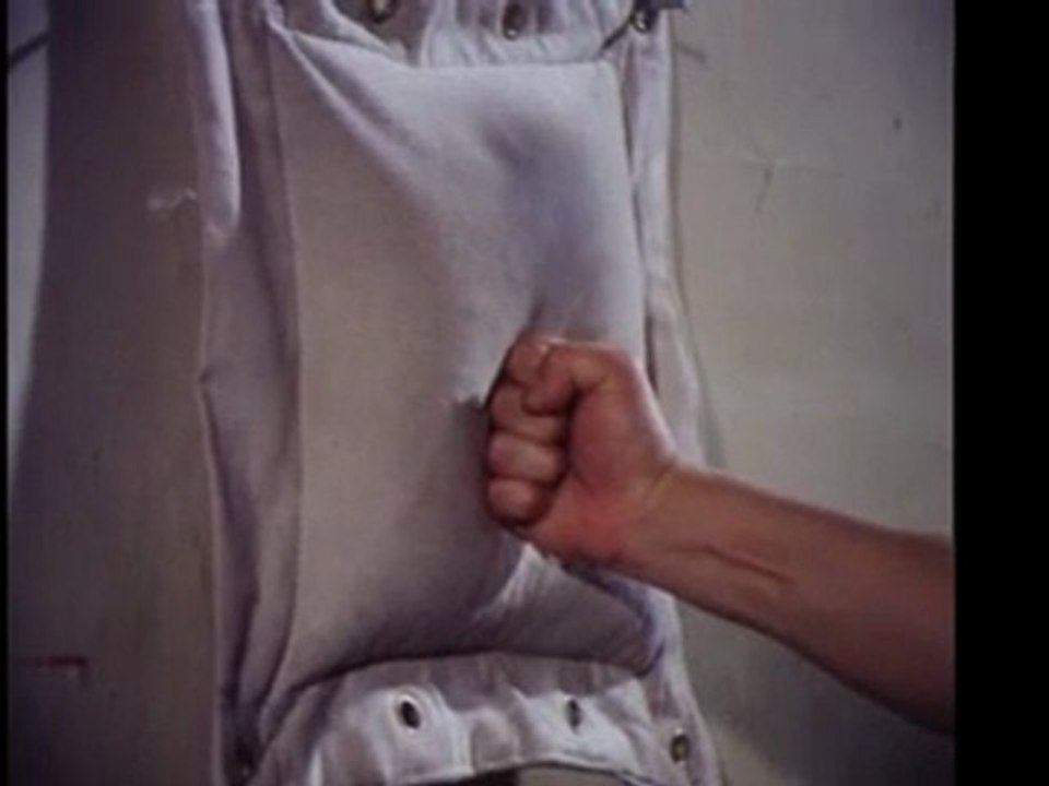 Wing Chun - The Science of In-Fighting