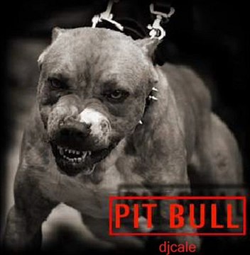 dj cale los yakis jenaro 2011