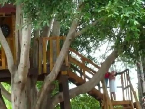 Mi casita en el árbol