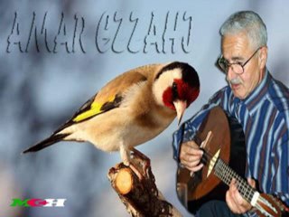 Amar Ezzahi elmaknassia & talet b sidi ...