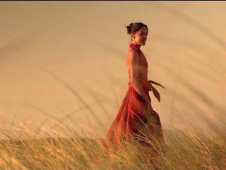 Quelques Vagues, et l'Ame... (Intégral) - Réal. M.Maunier-Rossi