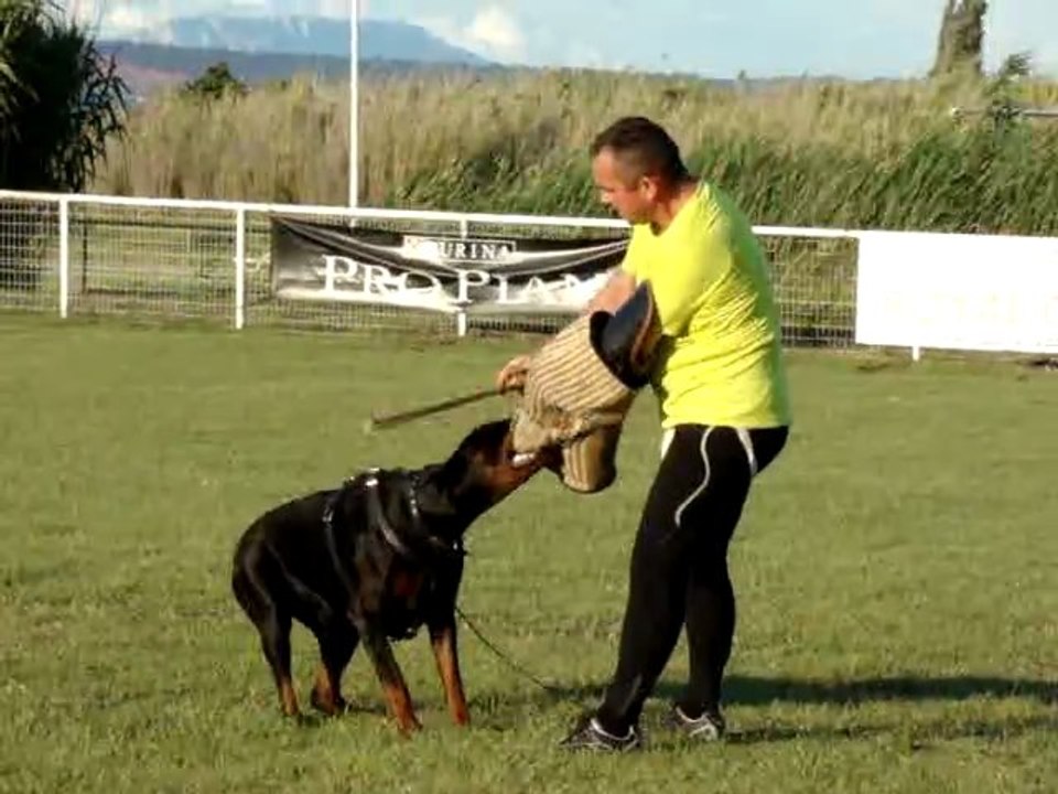 B'ATHOS ENTRAINEMENT
