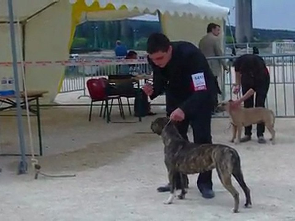 Hilary z cekynskeho dvora Spéciale de race Martigues 2011