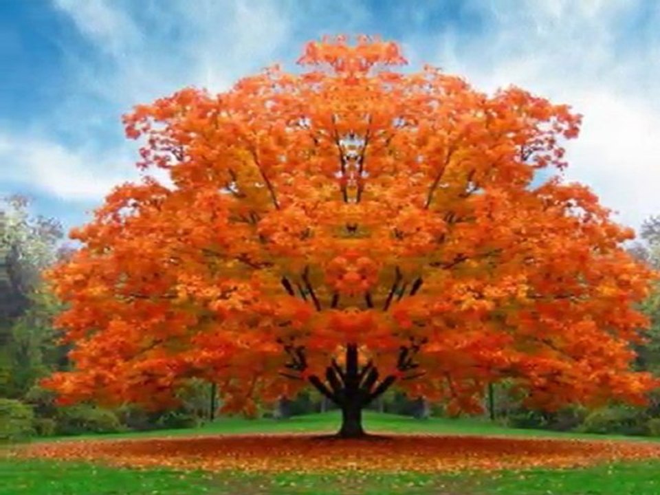 ORHAN ÖLMEZ-AŞK BENİ HİÇ SEVMEDİ