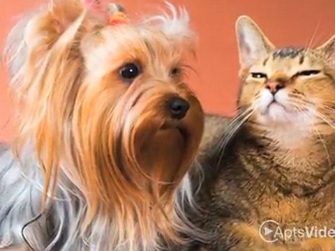 The Reserve at Shelley Lake Apartments in Spokane ...