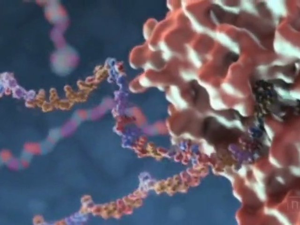 Flu Attack! How A Virus Invades Your Body