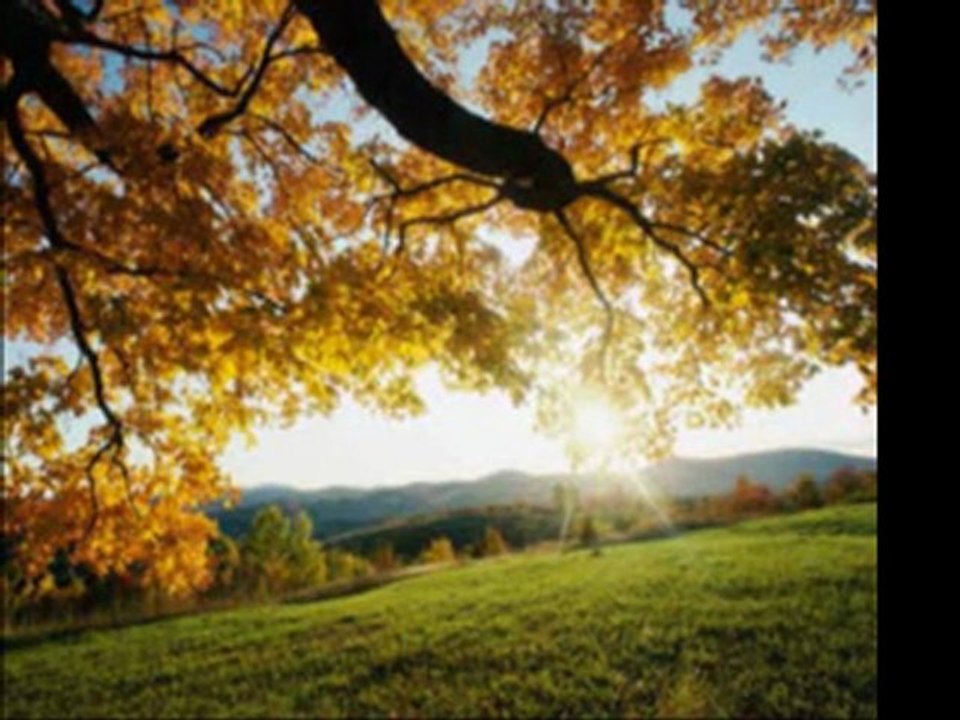 SUAVİ  ...  PAZAR  ...