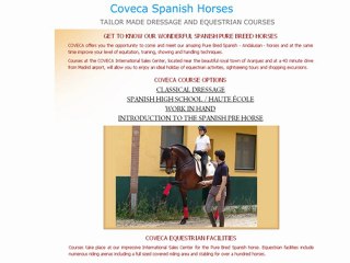 The Purebred Spanish Andalusian Horses