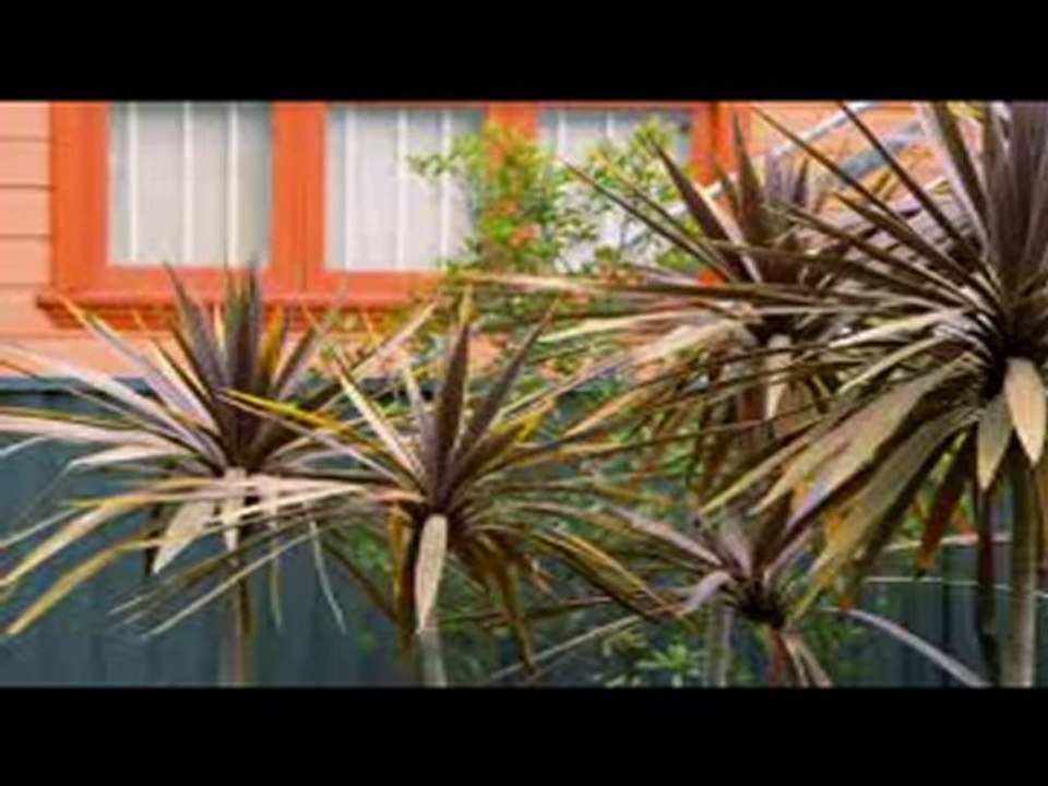 The Renovators - Episode # 65 / Part 1