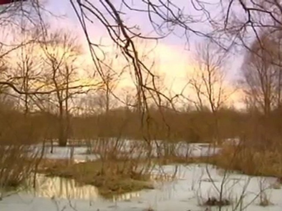Pinski_dzivasil