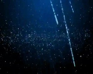 Ayyıldız Tim Rüzgarın Efendileri