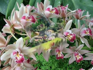 Aşk Herşeye Değer