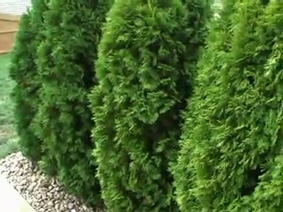 5921 Accent Drive, Indianapolis, Indiana