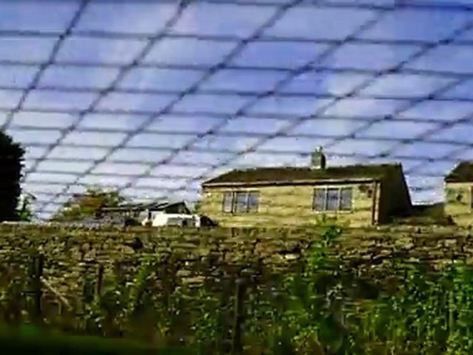 Chicken coop