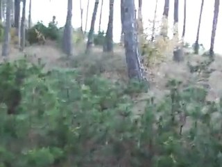 Lancé 1ere attaque Lundi 10 octobre 2010 LD RON DE L'APIO