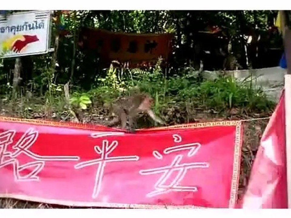 Thailand: Koh Chang
