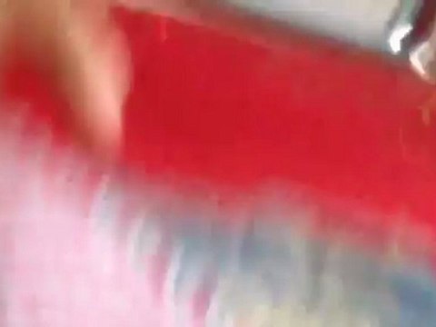 snake park chennai-guindy area.