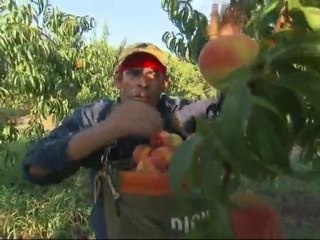 Necesitan hispanos en EE.UU.