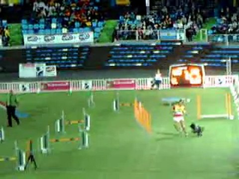 Lievin 2011 championnat du monde d'agility Schapendoes équipe Suisse