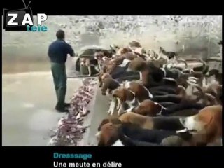 Zapping du net du 10 octobre 2011