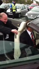 Coddy Needs A Helping Hand