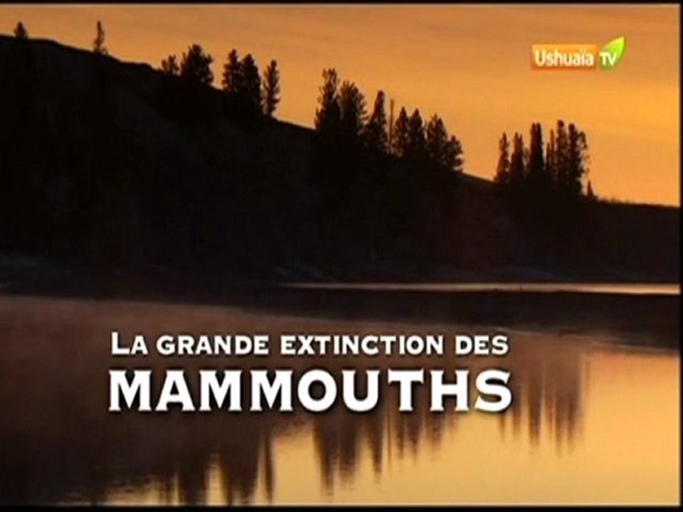 La grande extinction des mammouths (1/3)