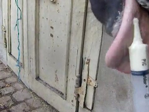 antibio à la seringue , hum , trop bon !