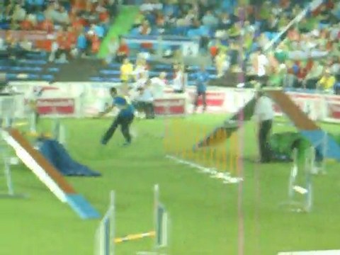 giraudi nicola et twister (italie) CDM indiv small - indiv agility