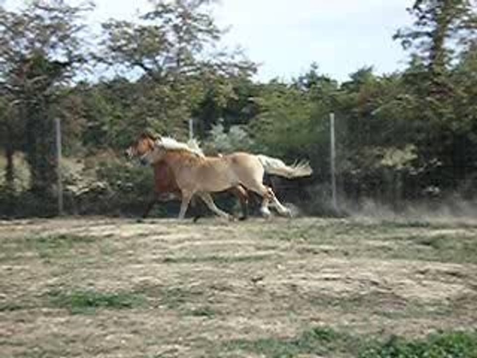 course doun et jolet