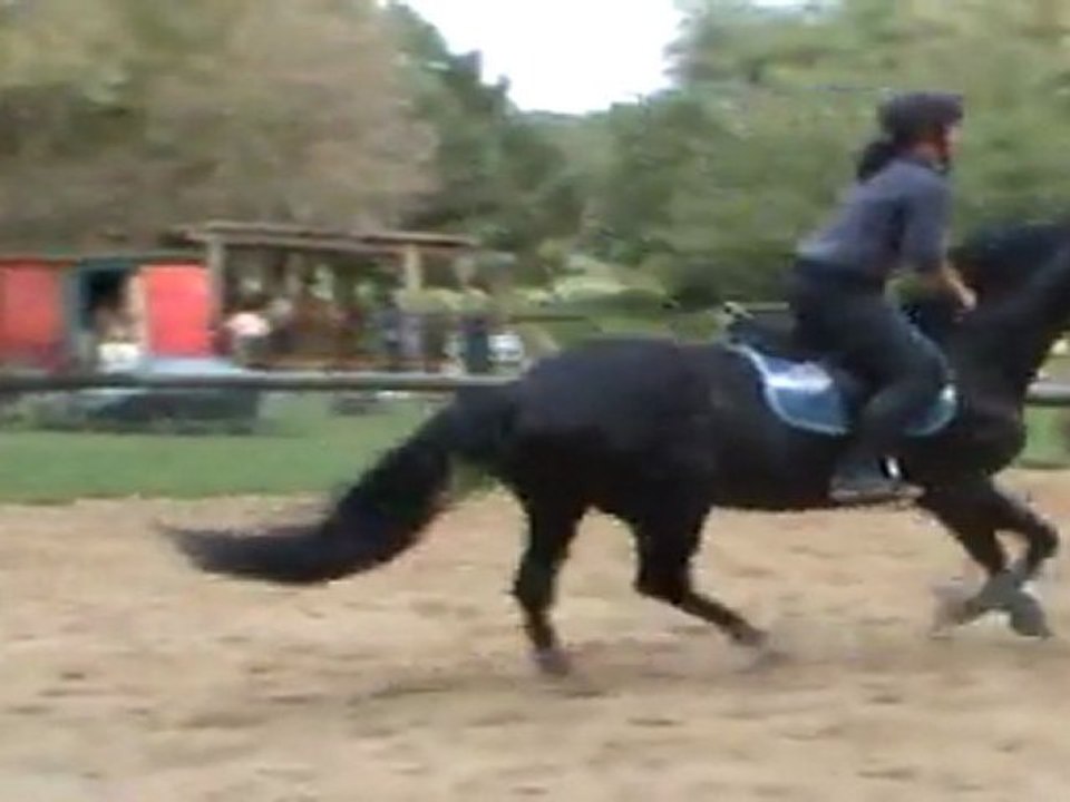 Piou 4