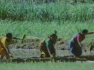 Romantic Village Drama with Sridevi & Chandra Mohan 🌸