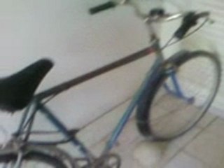 bicyclette de 1960 a zorda sidi alwan mahdia tunisie