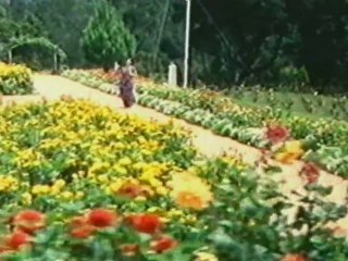 Yenado Niku Naku Rasipettadu (Ramarajyam  Lo Bhimarajyam)