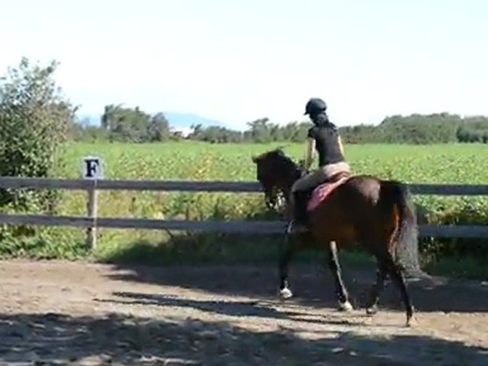 Trot enlever avec Moon