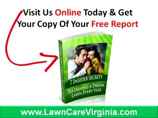 Lawn Service Company Charlottesville|Guaranteed GREEN Lawn