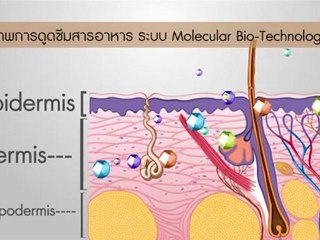 Your success is our success...The explanation(part 1)