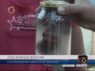 Caracol africano no es peligro en Venezuela