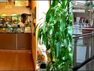 Franchise your business | What makes a franchise?