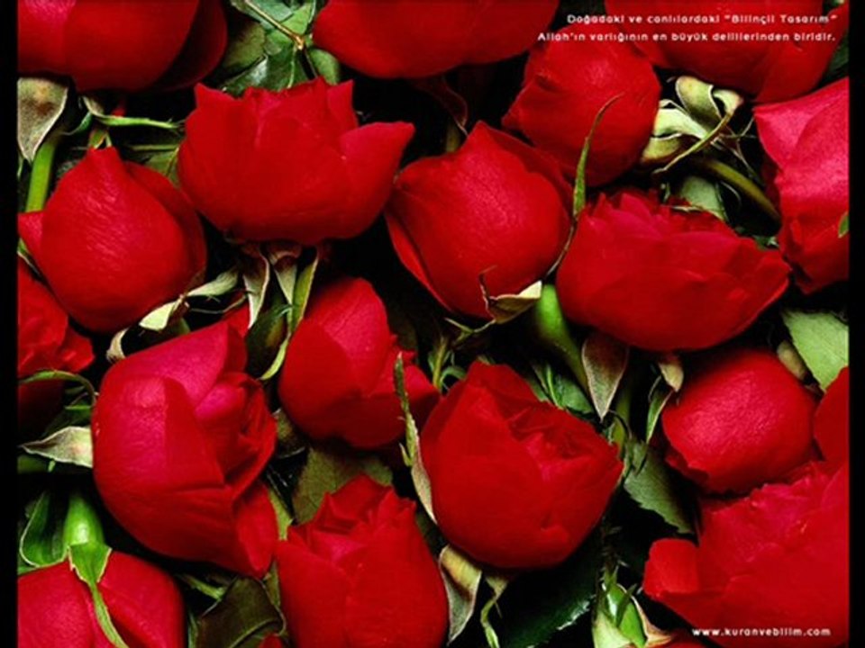 Osman Yilmaz - Zelixa Min