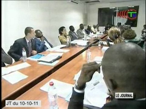 Une séance de travail sur la fibre optique au Congo