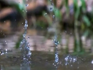 Binary Finary 1998 (tyDi & Dennis Sheperd Remix - EXTERbomba Clip)