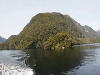 Doubtful Sound Cruise