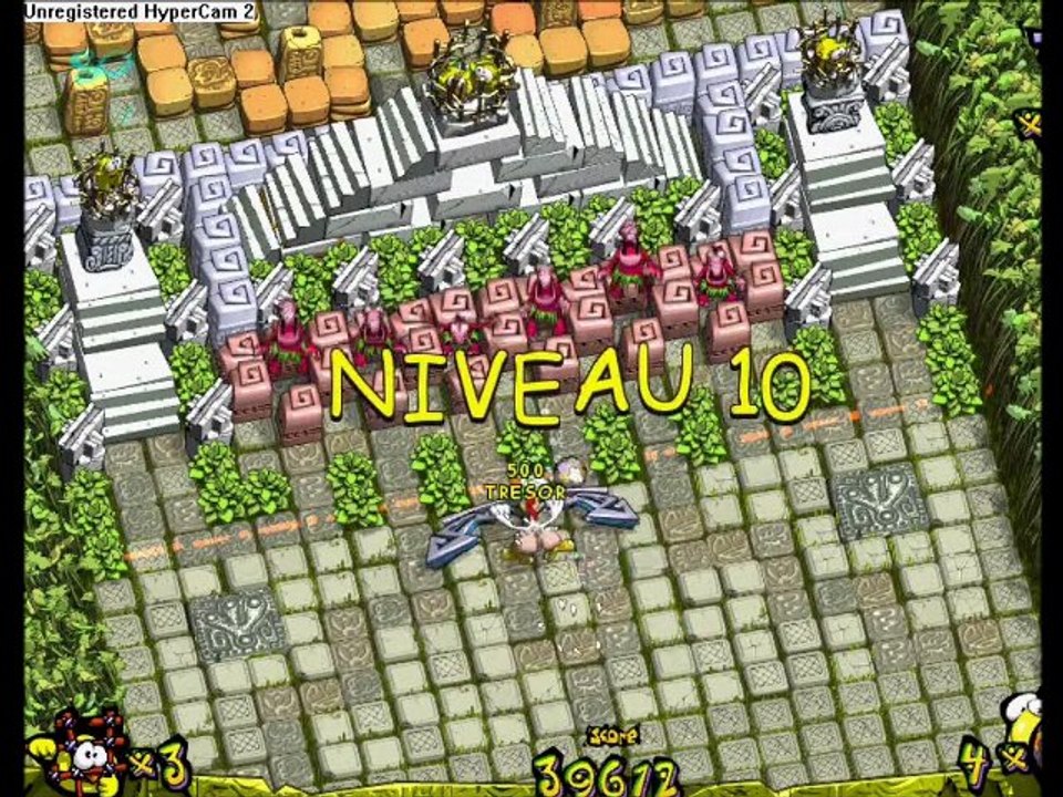 Videotest chicken attack