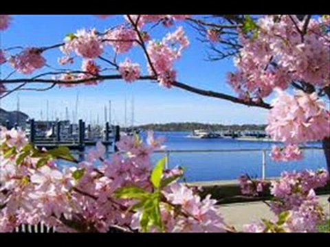 AYŞE TUNALI İNLEYEN NAĞMELER