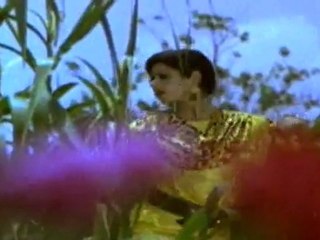 Thank You Thank You Dhora Garu (Maavoori Magaadu)