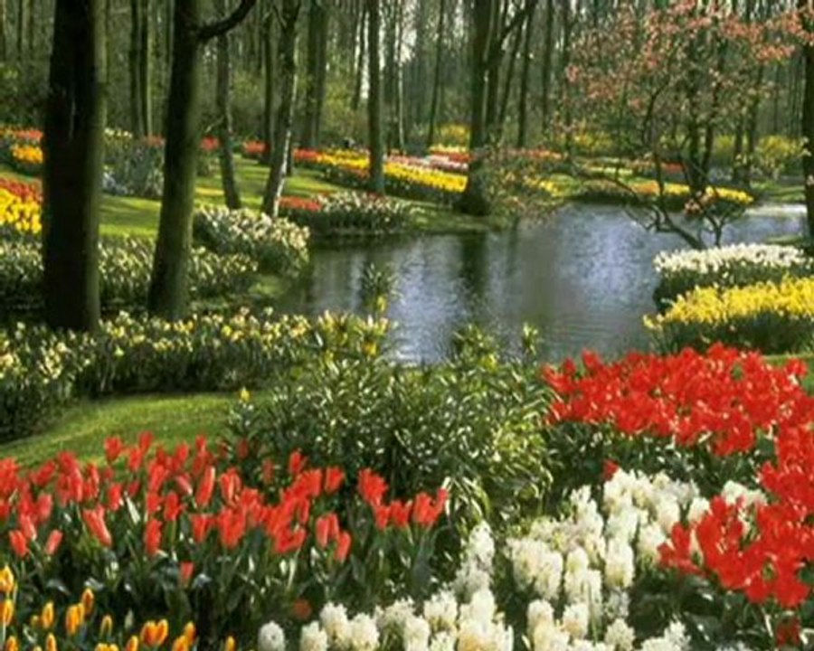 "MELEK YÜZLÜM" SÖZ- MÜZİK: DOĞAN DOĞAN