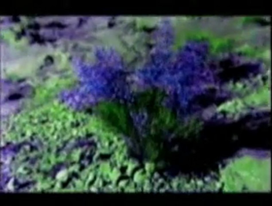 Haddaway - Fly Away