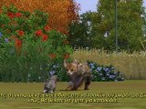 The Sims 3 Pets - Producer's Stories