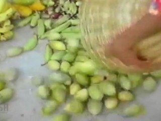 Pasam Oru Vesam (Pasam oru vesam)