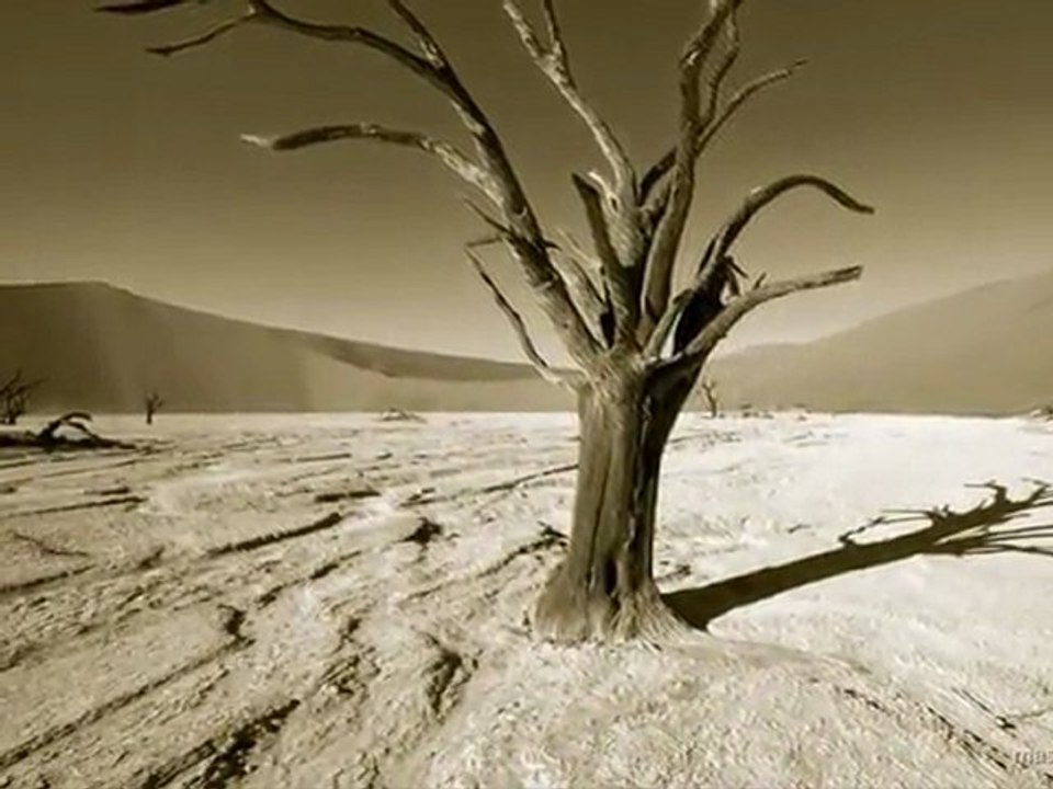 Eylem ÖZTAŞ - Yanar Ağlarım